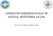Mircea Mircean - Conduita Diagnosticului in Ileusul Intestinal la Cal