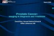 Prostate Cancer: Imaging in Diagnosis and Treatment