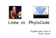 Linne versus Phylocode
