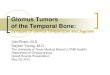 Glomus Tumors of the Temporal Bone: Synopsis of Glomus 