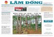 Báo Lâm Đồng ngày 17-1-2017