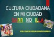 Cultura ciudadana en Barranquilla - Colombia