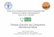The Pampean Beef GI system, by Claire Cerdan (CIRAD) (English)