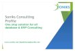 Soniks Consulting Profile V1