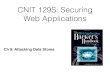 CNIT 129S: 9: Attacking Data Stores (Part 1 of 2)