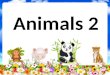 Animals vocabulary 2