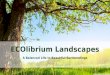 Contact For Landscaping Services Sydney | ECOlibrium Landscapes