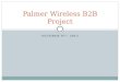 Palmer Wireless B2B Project from Albert Kangas