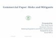 Guidelines on Commercial Paper for Banks