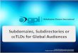 Subdomains Subdirectories or ccTLDs for Global Audiences