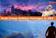 Avail Cheap Holiday Packages in USA