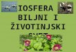 Biljni i životinjski svet Tanja Notaroš Gagić
