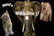 Bernd´s wildlife show 17 (fil-eminimizer)