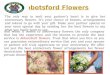 Abbotsford Flowers
