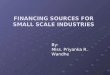 Financing sources for Small Scale Industries ppt
