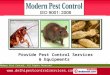 Pest Control Services by Modern Pest Control New Delhi