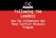 Following the Leaders: How Top Influencers Run Their Conflict Mineral Programs