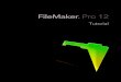 Tutorial de FileMaker Pro 12