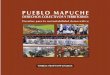 Pueblo Mapuche, Derechos Colectivos y Territorio:Desafíos para la 