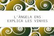 Vinyes Torrelles de Foix
