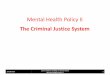 Mental Health Policy - Mental Illness and the Criminal Justice System
