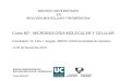 Curso M7: MICROBIOLOGIA MOLECULAR Y CELULAR