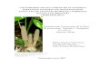 Actualización taxonómica de la flora de Guatemala