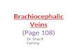 Brachiocephalic Veins (Anatomy of the Thorax)