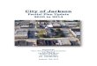 City of Jackson Partial Plan Update 2010