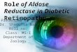 Diabeticretinopathy30 3-2011-121109075116-phpapp01