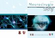 Neurocirugía Hoy, Vol. 8, Numero 24
