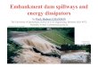 Chanson H.“Embankment dam spillways and energy dissipators”