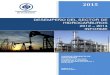 EE1- Informe hidrocarburos final- 2015 VII 6