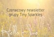 Czerwcowy newsletter Tiny Sparkles