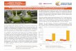 El cultivo del aguacate (Persea americana Miller.), fruta de 