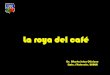 La Roya del Café (Por: Dr. Alberto Julca Otiniano - Dpto. Fitotecnia, UNALM)