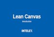 Lean Canvas Basics
