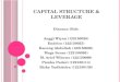 Capital Structure & Leverage