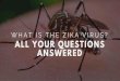 What Is The Zika Virus? All Your Questions Answered