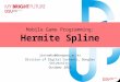 Hermite spline english_20161201_jintaeks