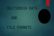 multimedia data and file format