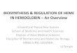 BIOSYNTHESIS & REGULATION OF HEME IN HEMOGLOBIN – An 