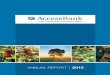 AccessBank Annual Report 2013