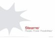 Stearns Lending Overview