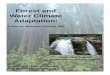 Whatcom County, WA - Climate Adaptation Plan 2010