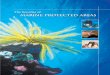 The Benefits of Marine Protected Areas (PDF - 297.77 KB)