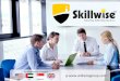 Overview- Skillwise Consulting