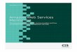 CA Amazon Web Services Monitoring