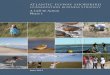 Atlantic Flyway Shorebird Business Strategy