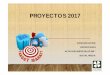 Proyectos 2017